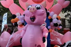 boerne-boo-dr.-wilkerson